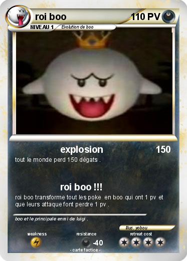 Pokemon roi boo