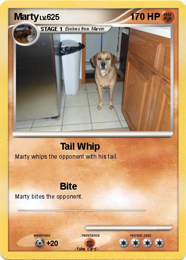 Pokemon Marty
