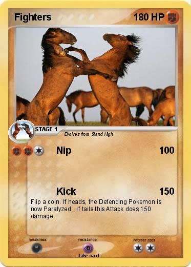 Pokemon Fighters
