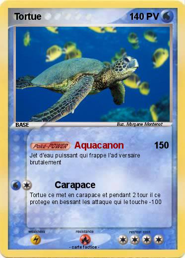 Pokemon Tortue