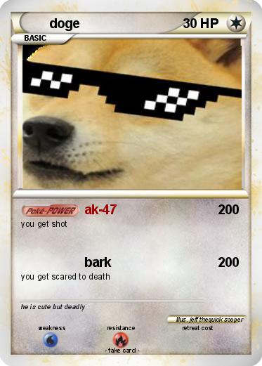 Pokemon doge