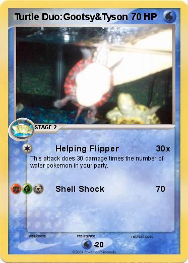 Pokemon Turtle Duo:Gootsy&Tyson