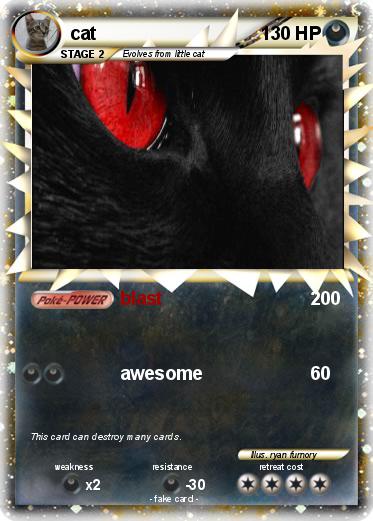 Pokemon cat
