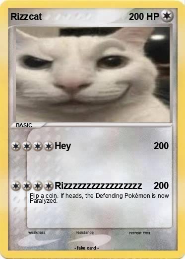 Pokemon Rizzcat