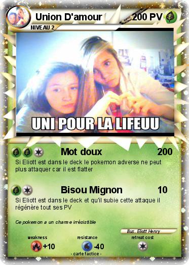 Pokemon Union D'amour