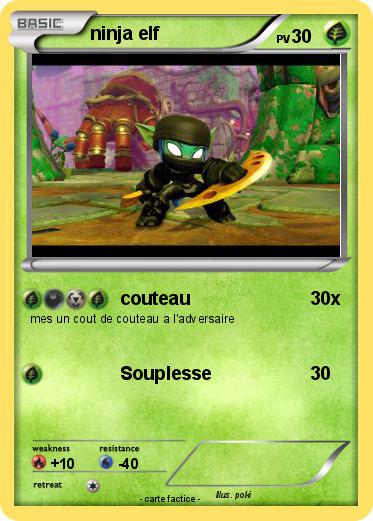 Pokemon ninja elf