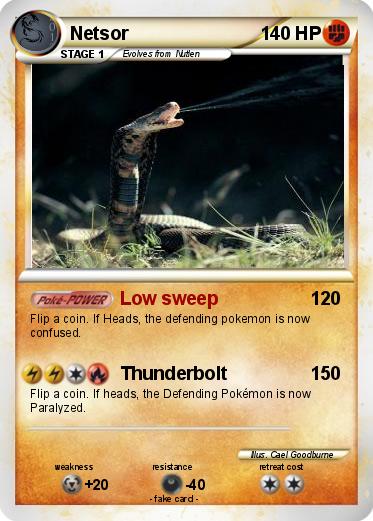 Pokemon Netsor