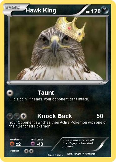 Pokemon Hawk King