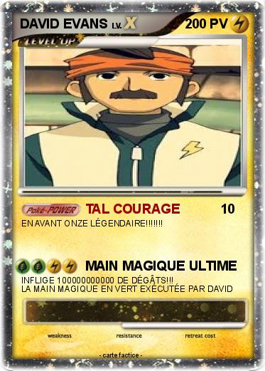 Pokemon DAVID EVANS
