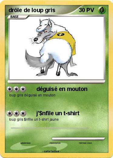 Pokemon drôle de loup gris