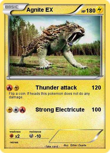 Pokemon Agnite EX