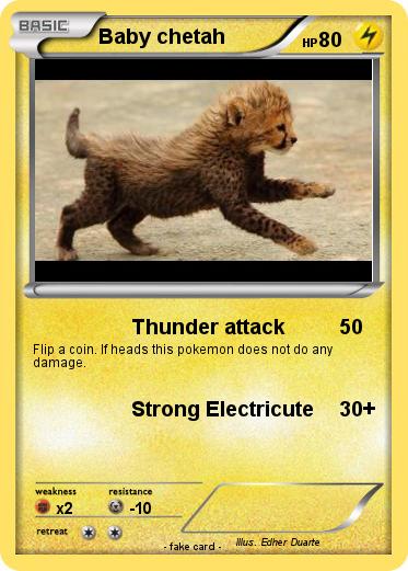Pokemon Baby chetah