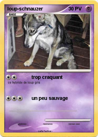 Pokemon loup-schnauzer