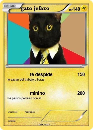 Pokemon gato jefazo