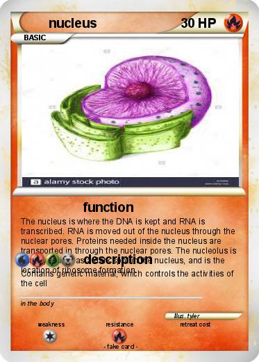 Pokemon nucleus
