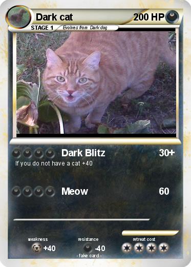 Pokemon Dark cat