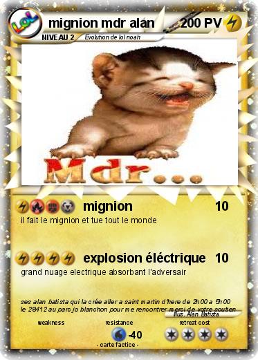Pokemon mignion mdr alan