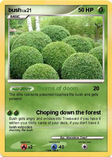 Pokemon bush