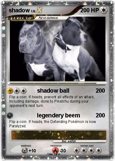Pokemon shadow