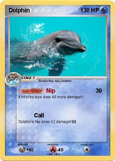 Pokemon Dolphin