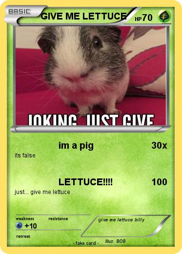 Pokemon GIVE ME LETTUCE