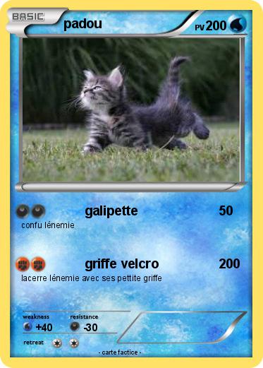 Pokemon padou