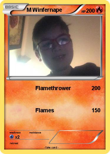 Pokemon M Winfernape