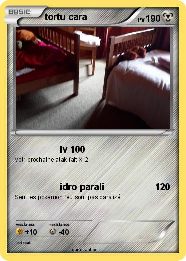 Pokemon tortu cara