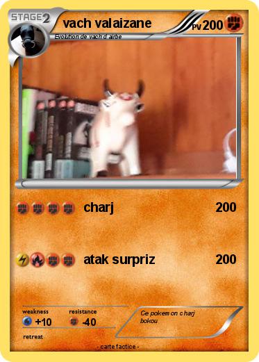 Pokemon vach valaizane