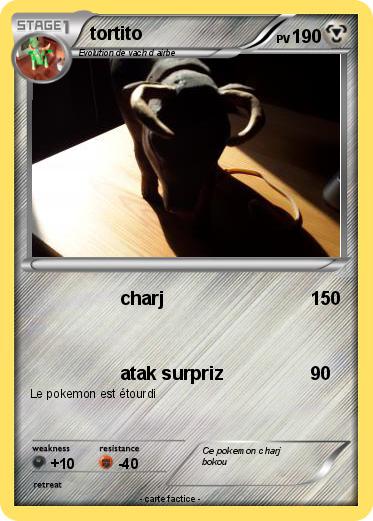 Pokemon tortito