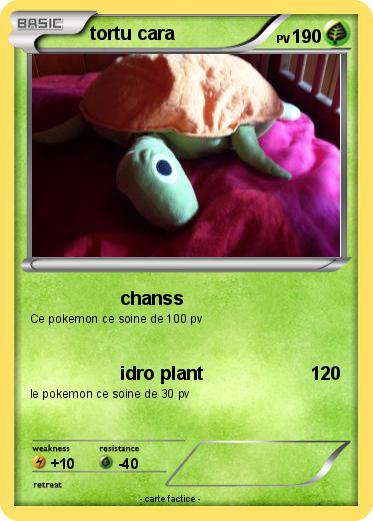 Pokemon tortu cara