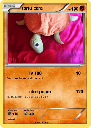 Pokemon tortu cara