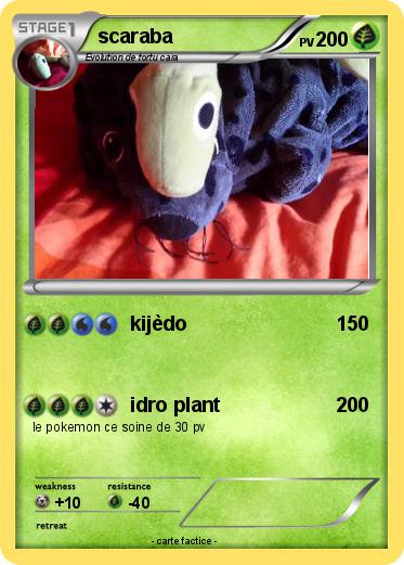 Pokemon scaraba