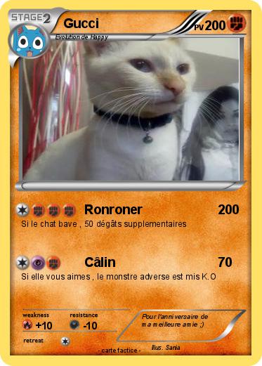 Pokemon Gucci