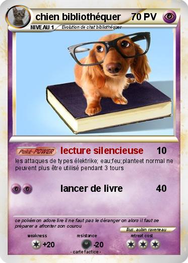 Pokemon chien bibliothéquer