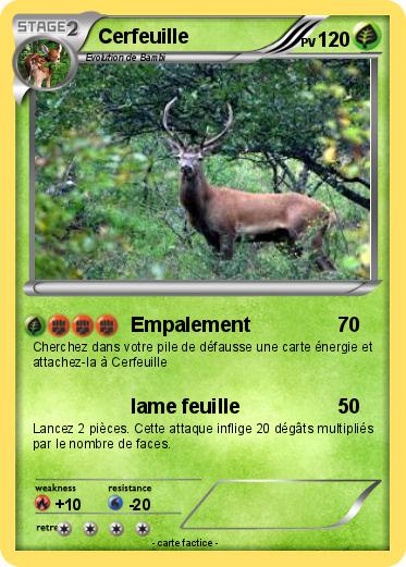 Pokemon Cerfeuille