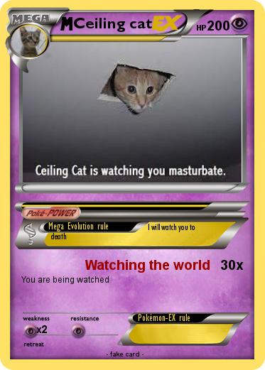 Pokemon Ceiling cat