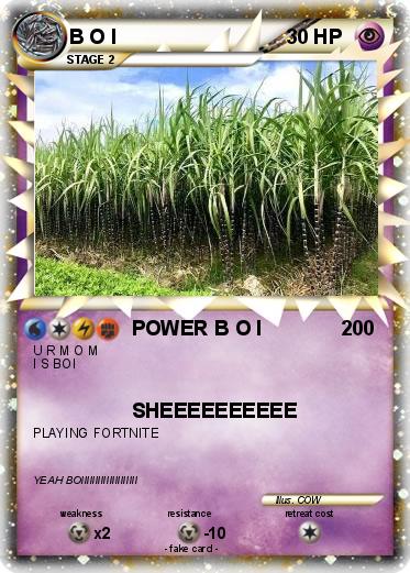 Pokemon B O I