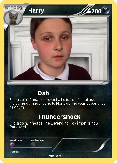 Pokemon Harry
