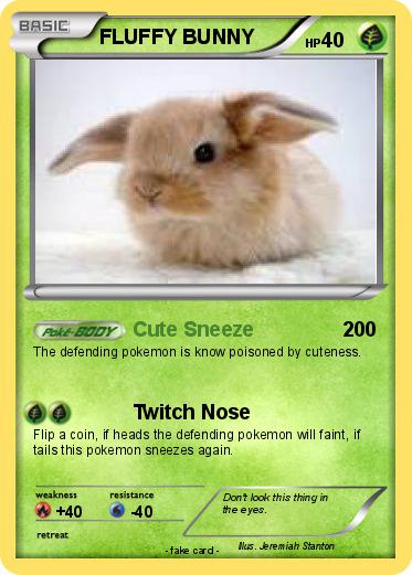 Pokemon FLUFFY BUNNY