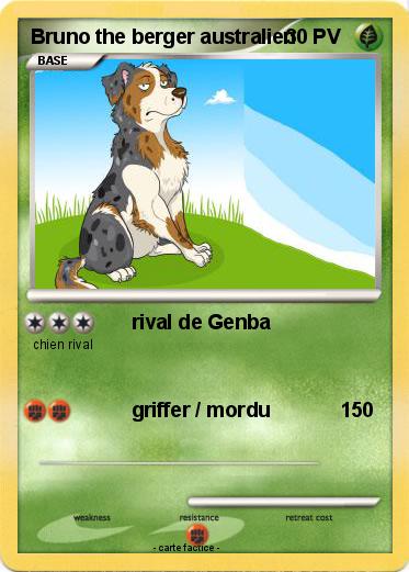 Pokemon Bruno the berger australien