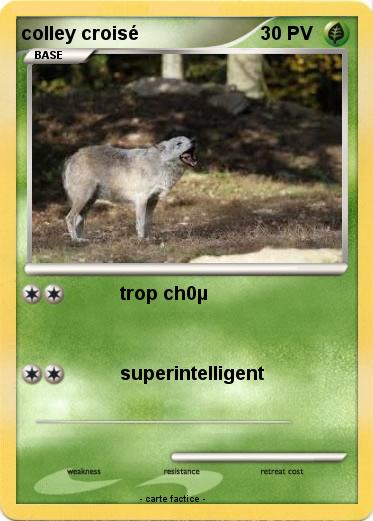 Pokemon colley croisé