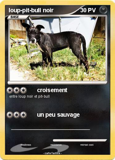 Pokemon loup-pit-bull noir