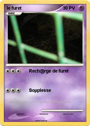 Pokemon le furet