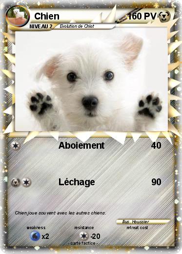 Pokemon Chien