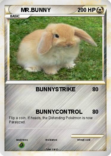 Pokemon MR.BUNNY