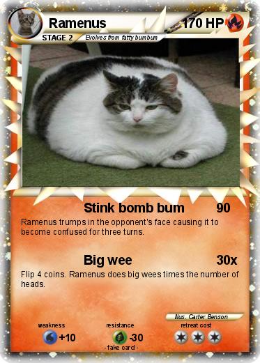 Pokemon Ramenus