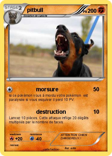 Pokemon pitbull