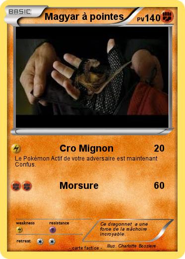 Pokemon Magyar à pointes