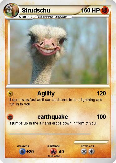 Pokemon Strudschu